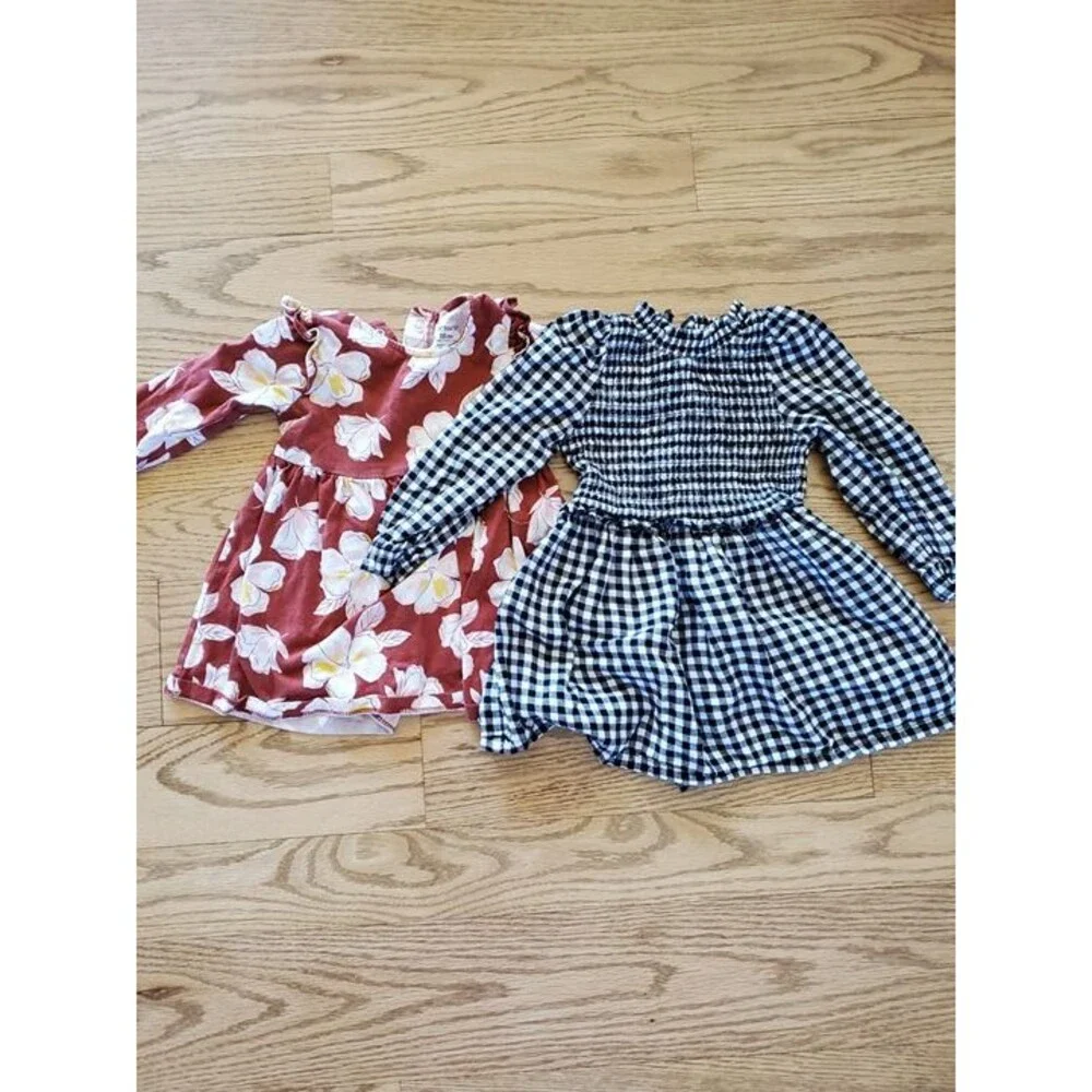 Lot of 2 Carter's, Wonder Nation Long Sleeve Dresses 18M VGUC
